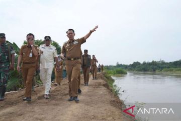 Bupati Bekasi tinjau tanggul Sungai Citarum antisipasi banjir