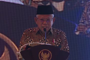 Wapres cermati beberapa persoalan percepatan penurunan stunting