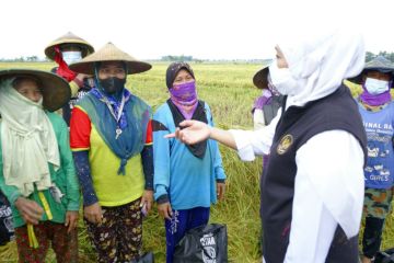 Gubernur Jatim pastikan produksi beras surplus, tidak perlu impor