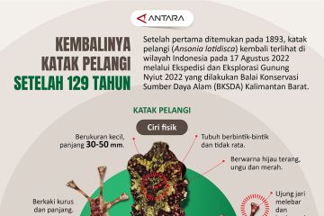 Kembalinya katak pelangi setelah 129 tahun