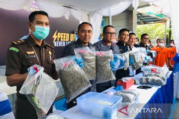 BNN Bali sita kokain senilai Rp1 miliar barang kiriman dari Inggris