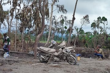 Warga terdampak awan panas guguran Semeru evakuasi barang dan ternak