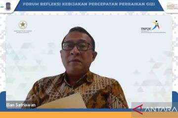 Setwapres: Program perlindungan sosial berperan turunkan stunting