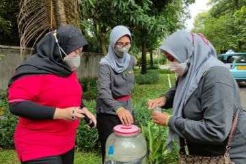 Ada tiga tahapan pencegahan kasus DBD di DKI Jakarta