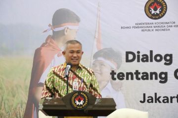 Kemenko PMK tekankan pentingnya pencegahan anemia pada ibu hamil