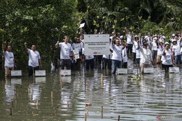 BKSDA Jakarta ajak warga lestarikan habitat mangrove di pesisir Jakut