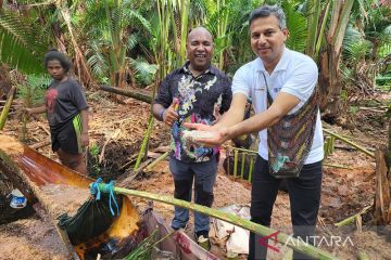 FAO jajaki kerja sama potensial untuk dukung petani Papua