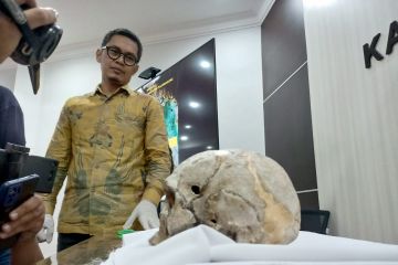 Pemkab Tulungagung terima replika fosil homo Wajakensis