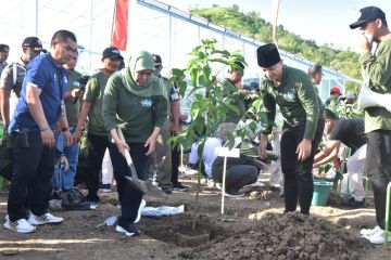 Gubernur Jatim tanam pohon di bekas areal pertambangan Trenggalek