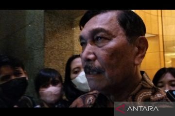 Luhut: negosiasi dengan Tesla bergantung pada insentif ke konsumen