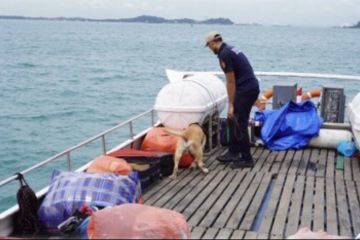 Bea Cukai tangkap kapal bawa berbagai barang ilegal di perairan Batam