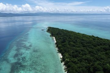 Pemkab SBB - BKSDA jajaki kerjasama pengelolaan Pulau Kasa