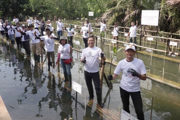 BKSDA Jakarta tekankan sinergi untuk restorasi mangrove SM Muara Angke