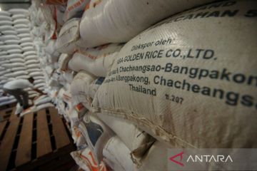 BPS: Impor beras RI didominasi "broken rice"