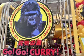 Go! Go! Curry bawa "comfort food" Jepang ke Indonesia