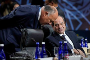Pengamat: Mesir hadapi pilihan sulit usai Presiden Sisi terpilih lagi