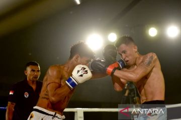 Summer Fights kirim tiga "top fighter" bertanding ke Thailand