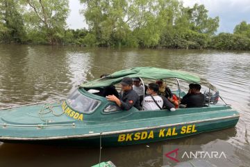 BKSDA Kalsel dan SBI jaga populasi bekantan dengan patroli terpadu