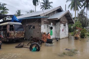 BPBD: 1.543 rumah di Aceh Timur terendam banjir