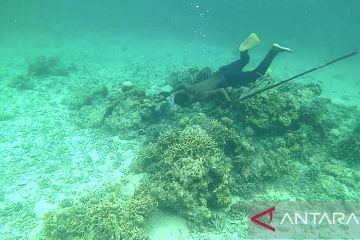 Kisah si penembak jitu bawah laut