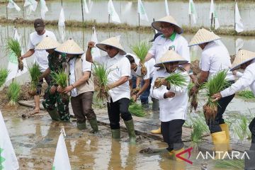 Moeldoko: Petani harus rambah hilir pertanian agar lebih sejahtera