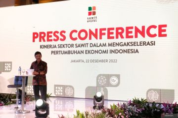 Outlook 2023, BPDPKS: Sawit berkontribusi 32 persen minyak global