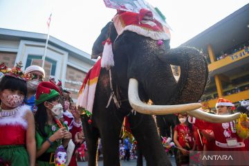 Gajah meriahkan Natal di Thailand