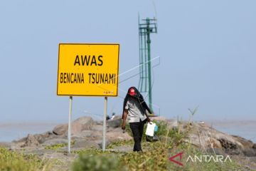 Pakar: Pengetahuan mitigasi bencana tsunami di Aceh masih minim