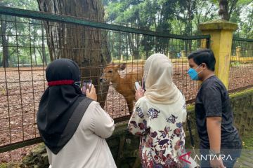 Puluhan ribu pengunjung ramaikan Ragunan jelang Natal