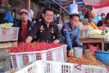Mentan pantau harga bahan pokok di pasar tradisional Makassar