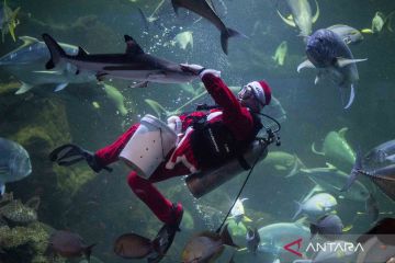 Pertunjukan Sinterklas di dalam air Sea World Jakarta