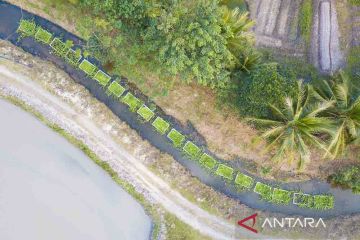 Wenchang pasang pulau terapung buatan untuk menjernihkan air