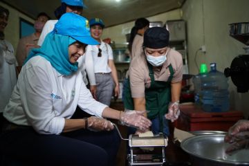 Menteri PPPA gandeng Srikandi PLN berdayakan perempuan penyintas KDRT