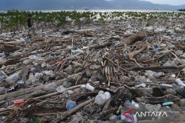 Tumpukan sampah di pantai Palu ancam kelestarian mangrove