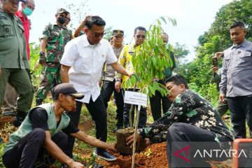 Moeldoko tanam bibit durian untuk ajak warga kembangkan pertanian