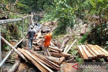 Polisi kehutanan buru pelaku pembalakan liar di Gunung Lengkuas Bintan