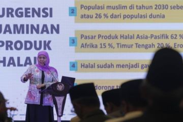 Khofifah dorong MUI jadi konektor suplai daging ayam potong halal