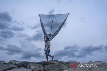 Tangkapan Udang Lamale Menurun