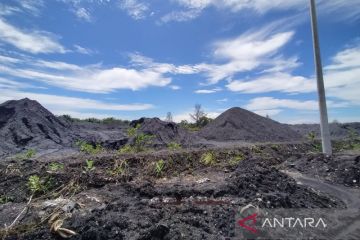 DLHK sebut 13 perusahaan di Bengkulu terima rapor merah dari KLHK