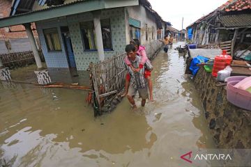 Banjir rob rendam ratusan rumah di Indramayu, Jawa Barat