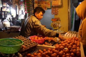 Bapanas tekan harga telur Rp 27 ribu per kilogram