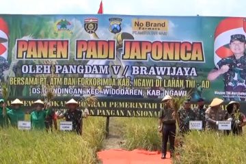 Pangdam V/Brawijaya instruksikan ubah lahan tidur jadi produktif