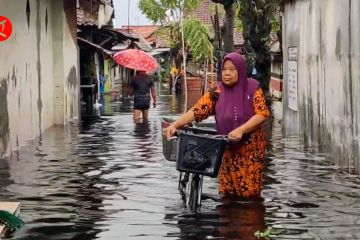 BPBD evakuasi ratusan warga Kota Pekalongan terdampak banjir