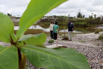 BPDAS Kapuas sukses rehabilitasi lahan kritis di Kabupaten Sintang