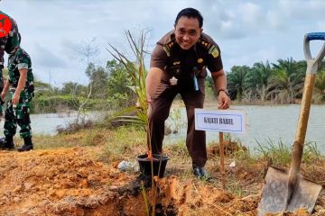 Jaga kualitas air baku, PDAM Tirta Bangka tanam 500 pohon rumbia