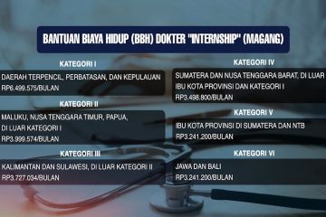 Kemenkes revisi bantuan biaya hidup dokter internship