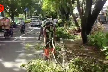 Pemkot Tangerang antisipasi pohon tumbang akibat cuaca buruk