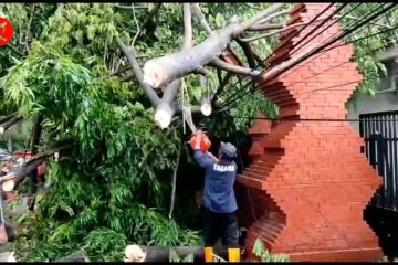 Puluhan rumah & pohon roboh diterjang puting beliung di Cirebon