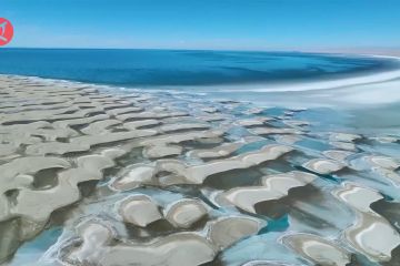 Melihat musim dingin di danau air asin pedalaman terbesar China