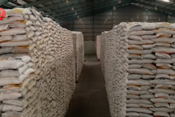 Suara DPR dan pengusaha soal kebijakan impor 200 ribu ton beras